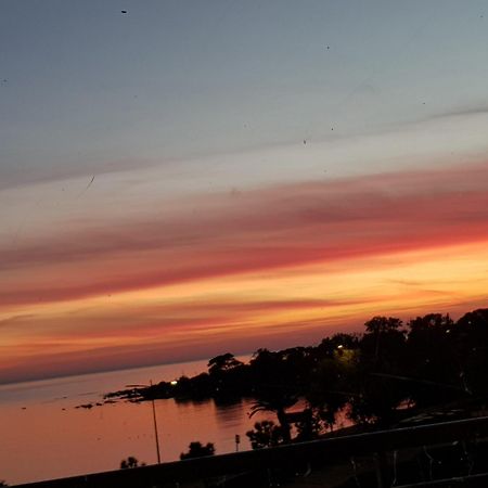 Vieille Ville D Ajaccio De 1 A 4 Pers A 300M Du Port Et A 15 Mn De Laeroport Proches De Plus Belles Plages Et Ttes Commodites A Proximite المظهر الخارجي الصورة