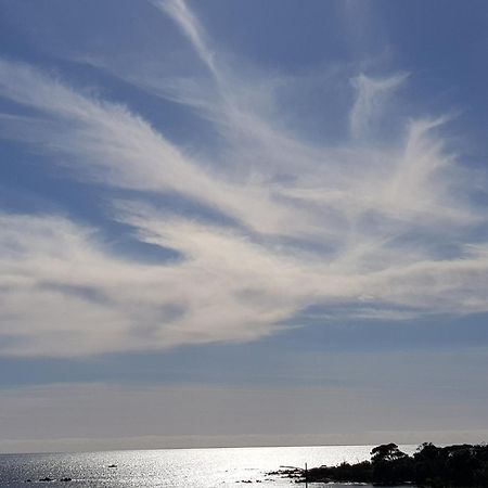Vieille Ville D Ajaccio De 1 A 4 Pers A 300M Du Port Et A 15 Mn De Laeroport Proches De Plus Belles Plages Et Ttes Commodites A Proximite المظهر الخارجي الصورة