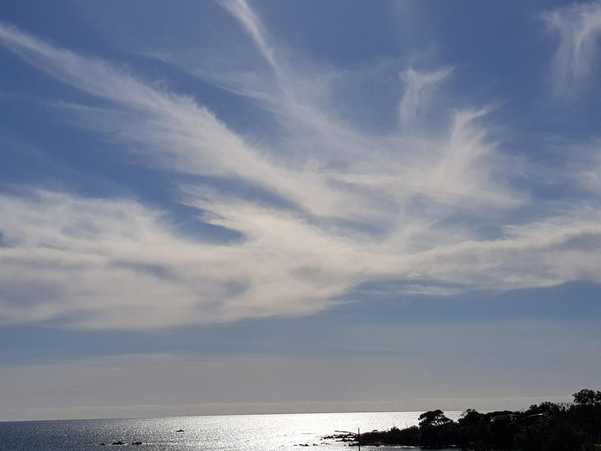 Vieille Ville D Ajaccio De 1 A 4 Pers A 300M Du Port Et A 15 Mn De Laeroport Proches De Plus Belles Plages Et Ttes Commodites A Proximite المظهر الخارجي الصورة
